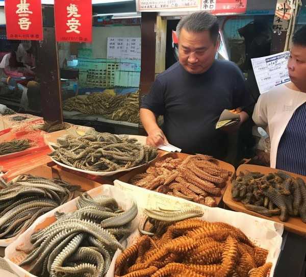 海参市场行情深度解析，价格揭秘，您了解多少？