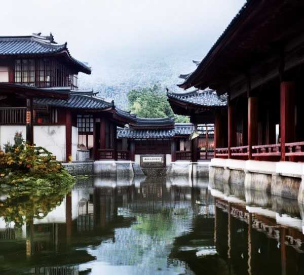 江南水乡特色——清蒸大闸蟹，美味共享