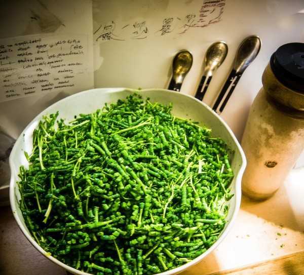 腌制芥菜疙瘩的黄金比例大揭秘！