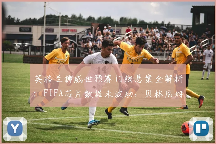 英格兰挪威世预赛门线悬案全解析：FIFA芯片数据未波动，贝林厄姆扳平球争议真相几何？