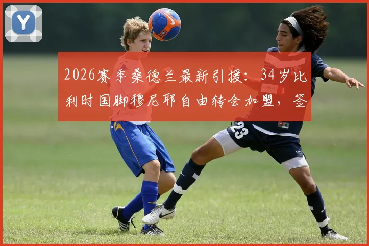 2026赛季桑德兰最新引援:34岁比利时国脚穆尼耶自由转会加盟,签约两年详情与球员生涯解析